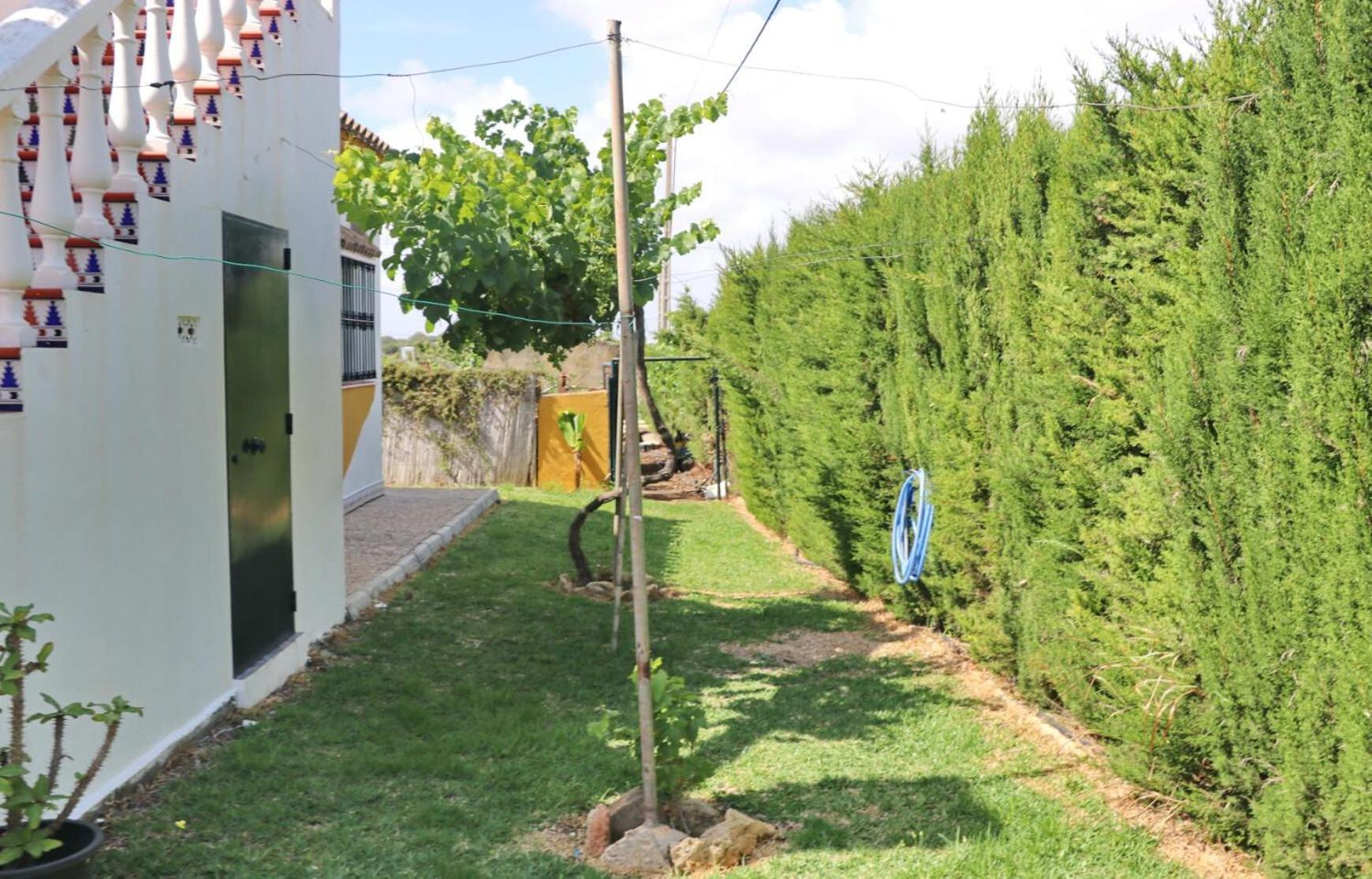 Chalet Pilahito Conil De La Frontera Dış mekan fotoğraf
