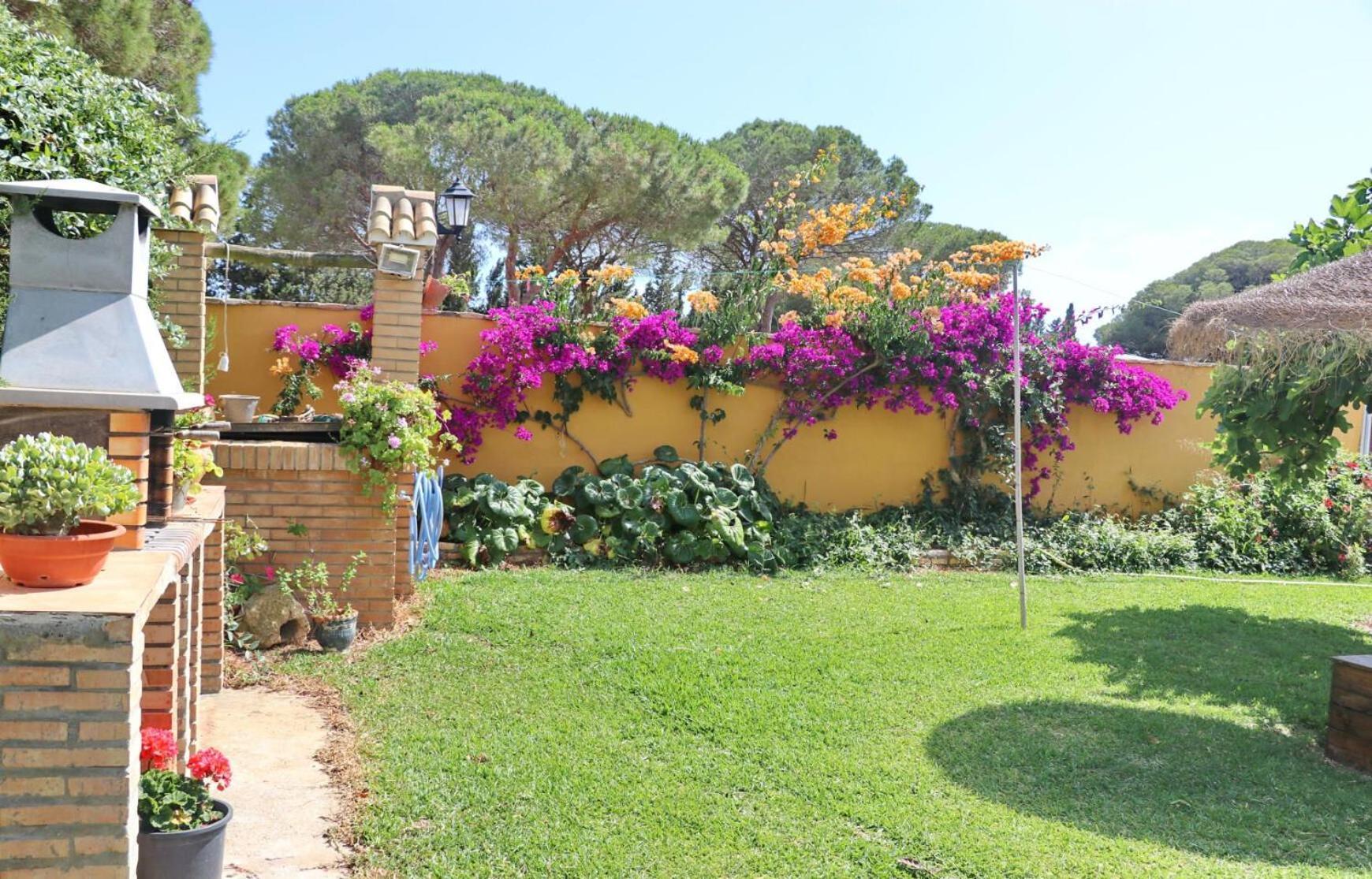 Chalet Pilahito Conil De La Frontera Dış mekan fotoğraf